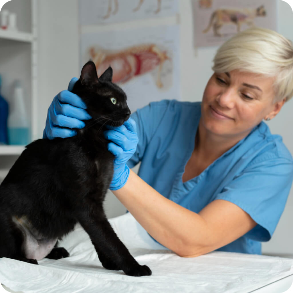 Dr. Horvath Daniella